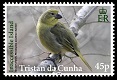Tristan's Endemic Finches, 45p stamp