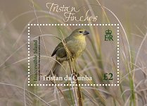 Tristan's Endemic Finches, £2 sheetlet Tristan's Endemic Finches, £2 sheetlet