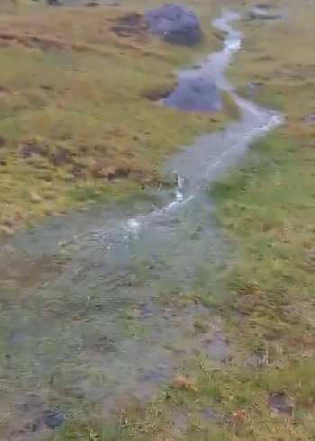 A new stream of water gushing over the pasture near the Big Watron