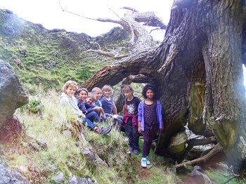 Students standing under and around the original tree