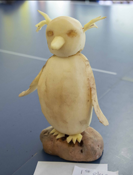 Potato rockhopper penguin