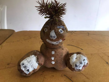 Potato sculpture