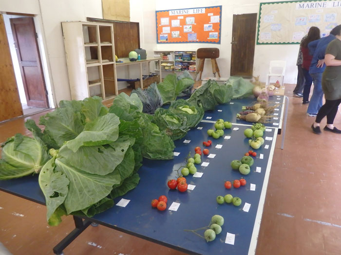 Vegetables in the produce show
