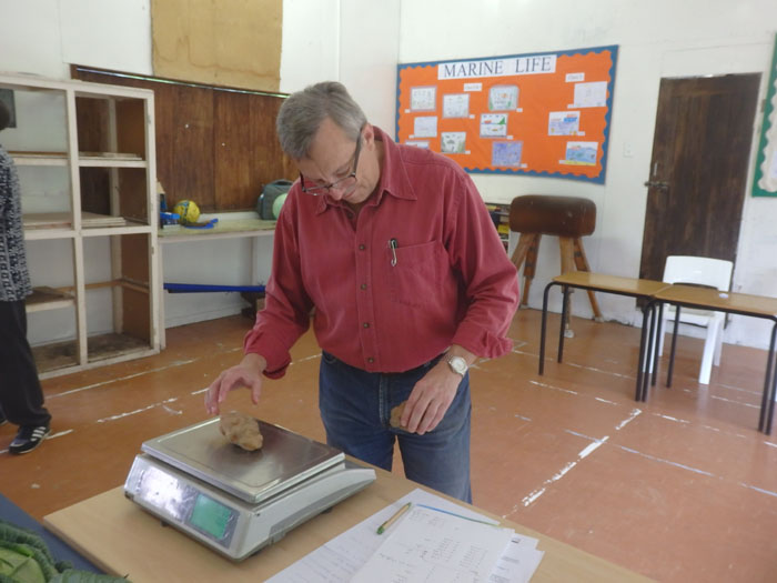Co-Administrator Steve Townsend weighing entries for heaviest potato