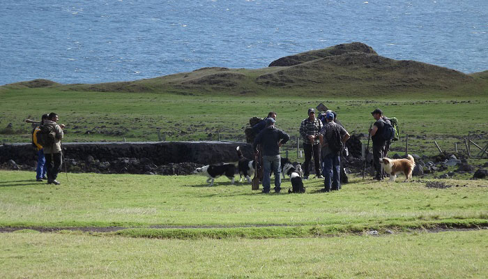 Gathering at the Patches for Ratting Day