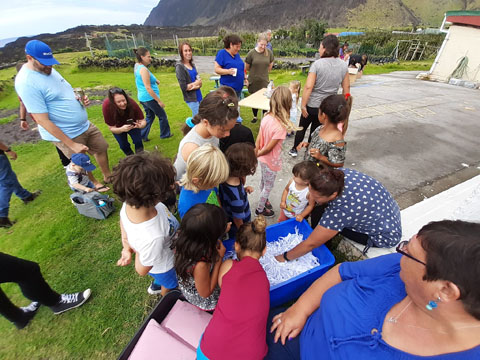 Lucky dip at the school