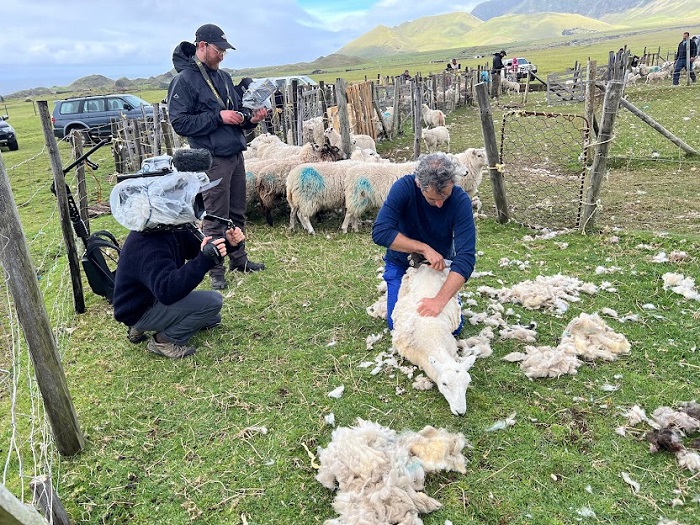 A visiting TV crew filming the shearing