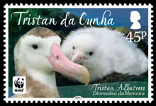 Tristan Albatross, 45p stamp