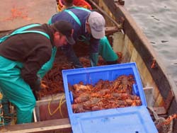 Thumbnail image for the file