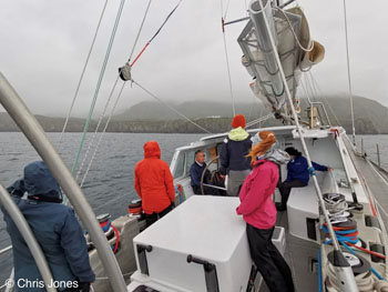 Arriving at Gough Island