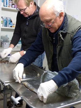 Measuring the longest tail