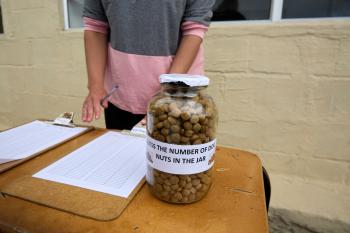 Guess the number of dog nuts