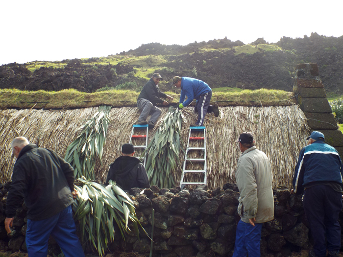 Gathering flax bundles for the thatchers.