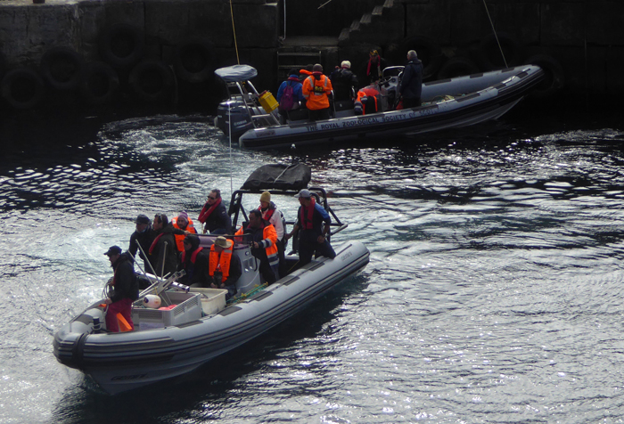 Conservation RIBs returning from Nightingale Island with visitors.