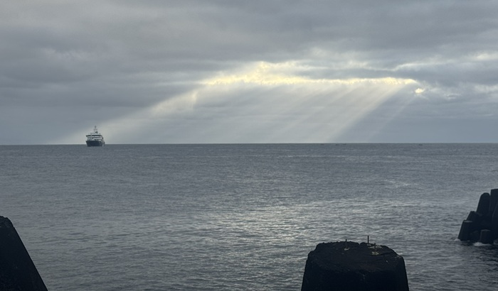 MV Hondius approaching the harbour amid the early morning sunbeams. Photo: Kelly Green