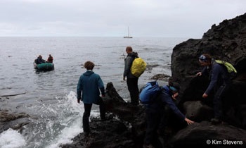 Landing at Gough Island