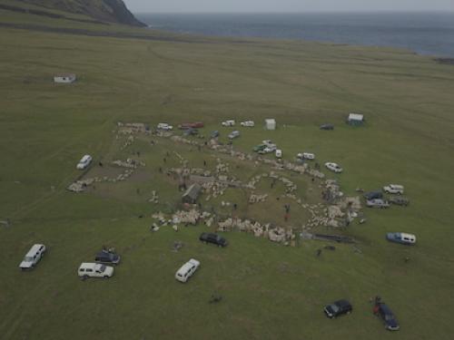 Birds eye view of the sheep pen