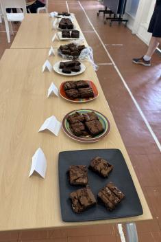 Chocolate Chip Brownies