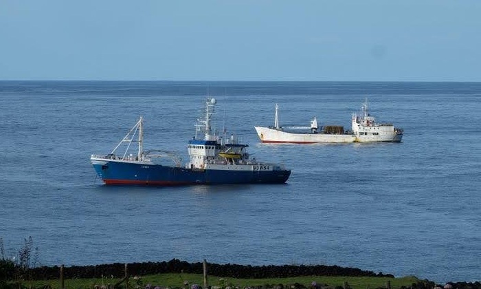 The MFV Lance (foreground) and MFV Edinburgh pictured off Tristan in December 2025. Photo: Philip Kendall