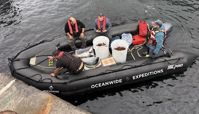 Fresh Tristan lobster and yellowtails being taken to the ship. Photo: Philip Kendall