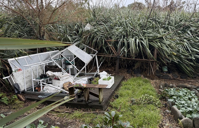 The Admin's destroyed greenhouse.