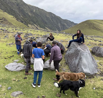 A hunting gang gathers at a potential rat nest on teh approach to Hillpiece