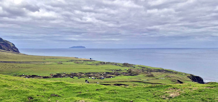 Photo from Hillpiece shows a hunting dog approaching with the Patches Plain - scene of much hunting and lunch parties - behind.