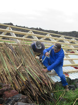 Thatching