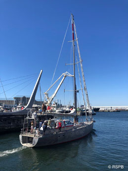 Yacht Pelagic Australis leaving Cape Town harbour.