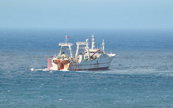 Thumbnail image for the file