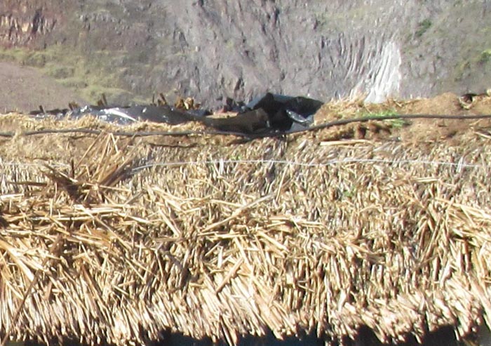 Close-up of storm damage to the roof