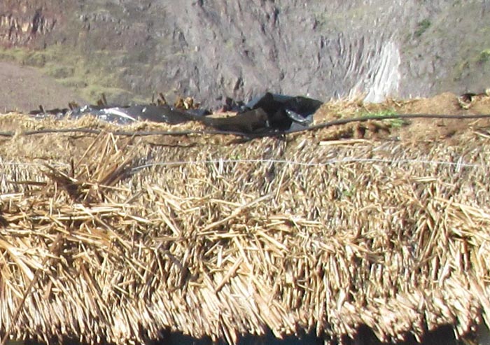 Close-up of storm damage to the roof