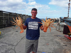 Thumbnail image for the file