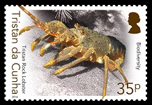 Biodiversity Part I, 35p - Tristan Rock Lobster