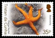 Biodiversity Part II, 35p - Orange Starfish