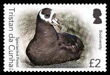 Biodiversity Part II, £2.00 - Spectacled Petrel