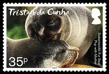 Fur seal mother and pup