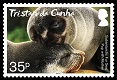 Fur seal mother and pup
