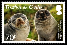 Fur seal mother and pup