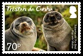 Fur seal mother and pup