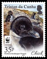 Northern Rockhopper Penguin, 35p stamp