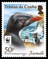 Northern Rockhopper Penguin, 50p stamp