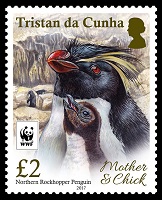 Northern Rockhopper Penguin, £2.00 stamp