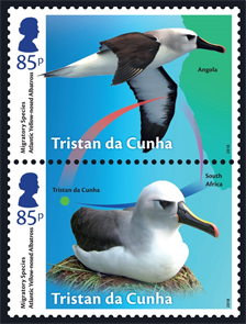 Tristan da Cunha Migratory Species, 85p, Yellow-nosed Albatros