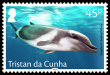 Whales, 45p, Shepherd's Beaked Whale