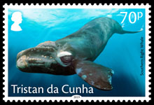 Whales, 70p, Southern Right Whale
