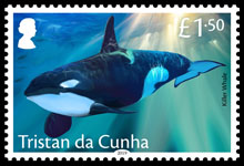 Whales, &pound;1.50, Killer Whale