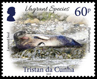 Vagrant Species Part 1, 60p, Leopard Seal