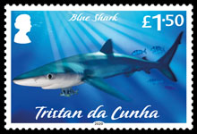 Sharks, £1.50, Blue Shark