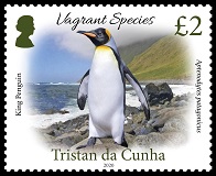 Vagrant Species Part 2, £2.00p, King Penguin